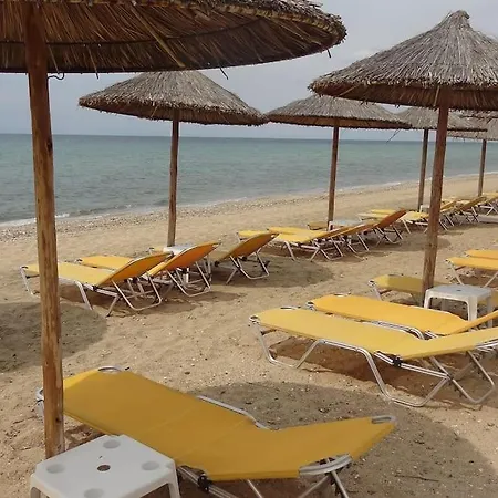 халкидики / Chalkidiki Griechenland Flogita